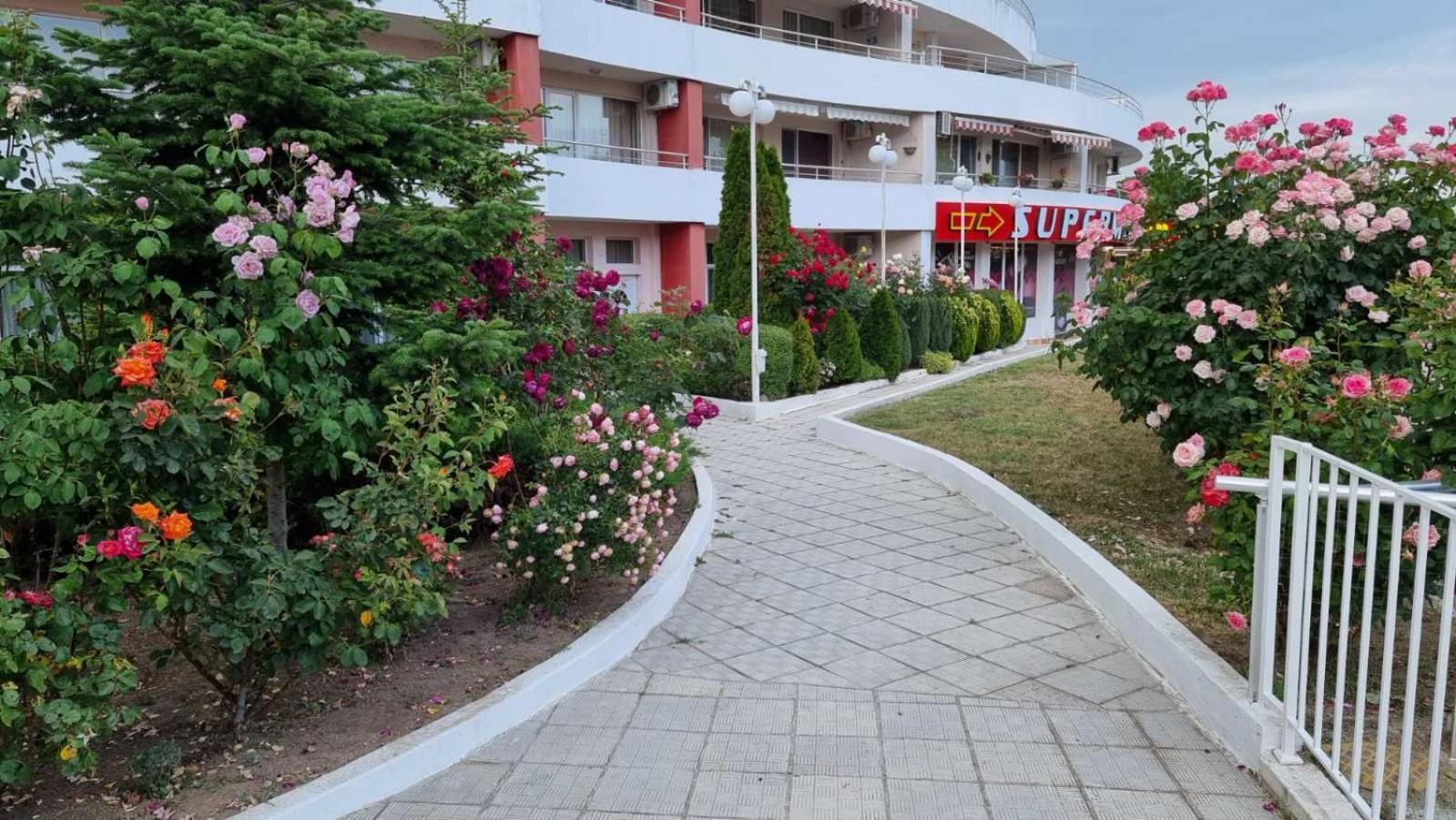 Luxurious Studios Nani Kranewo Zewnętrze zdjęcie