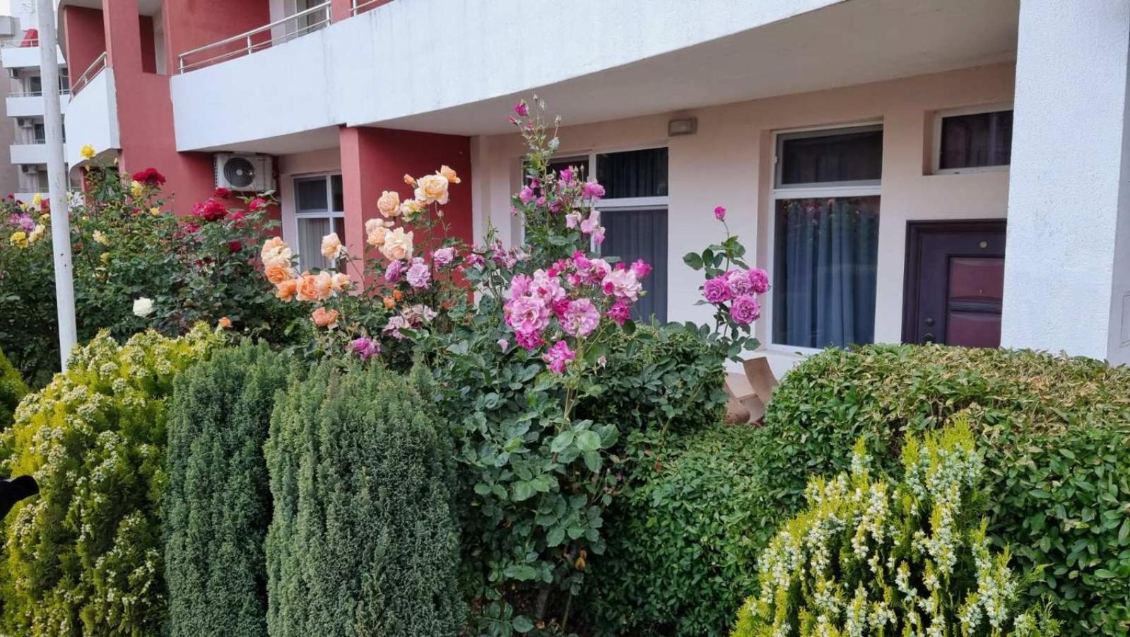 Luxurious Studios Nani Kranewo Zewnętrze zdjęcie