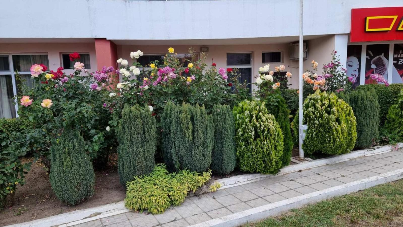 Luxurious Studios Nani Kranewo Zewnętrze zdjęcie