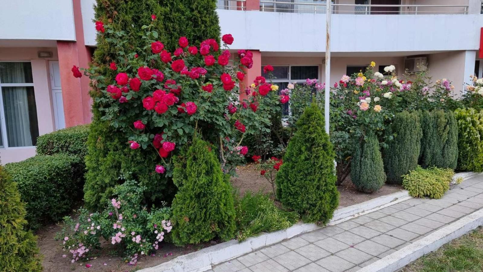 Luxurious Studios Nani Kranewo Zewnętrze zdjęcie